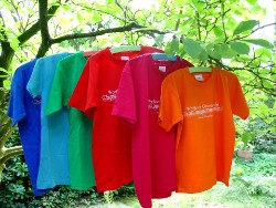 Wartburg Shirts von vorne